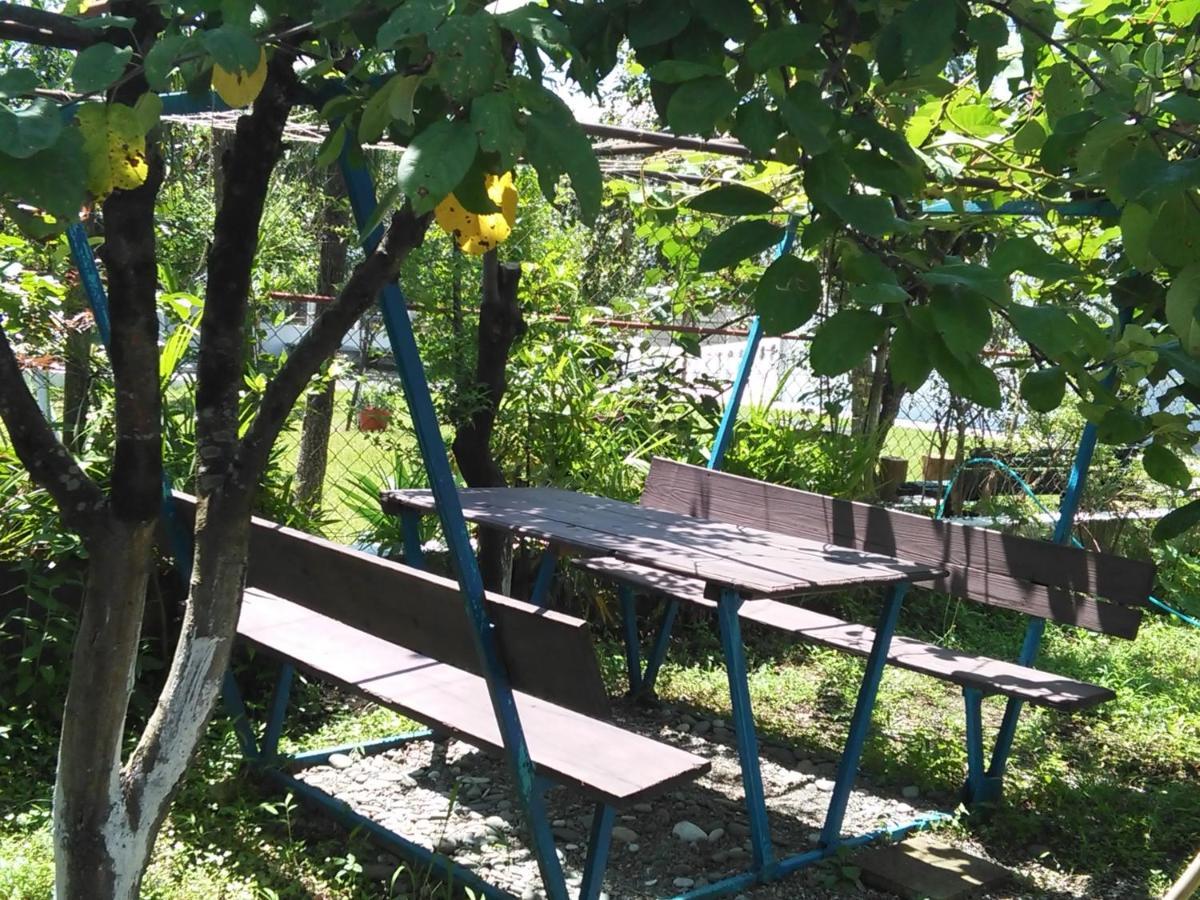Dani'S House Apartment Kobuleti ภายนอก รูปภาพ